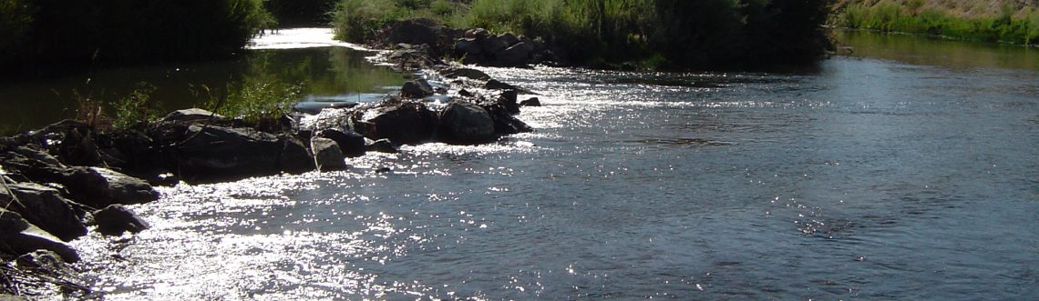 Walker River with sunlight on the water